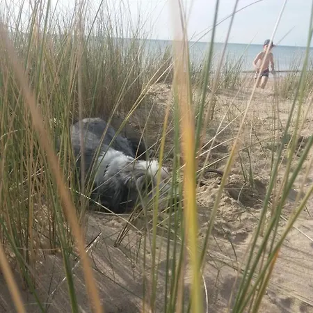 Feriehus Le Grand Orient *