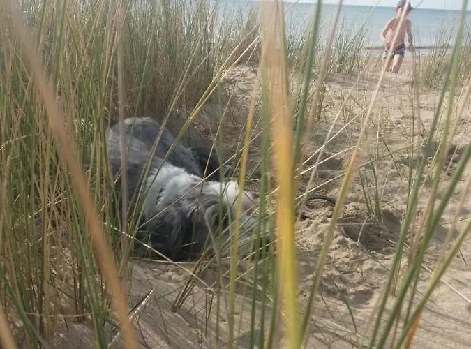 Σπίτι διακοπών Le Grand Orient *